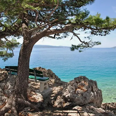 Guesthouse Brela (3512)